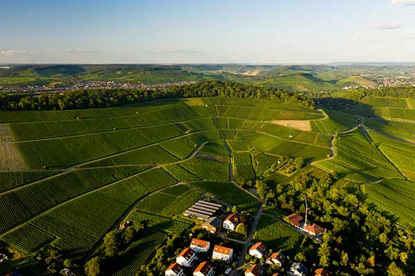 Luftaufnahme einer weiten, grünen Weinlandschaft mit kleinen Ortschaften und sanften Hügeln – Naturidylle aus der Vogelperspektive.